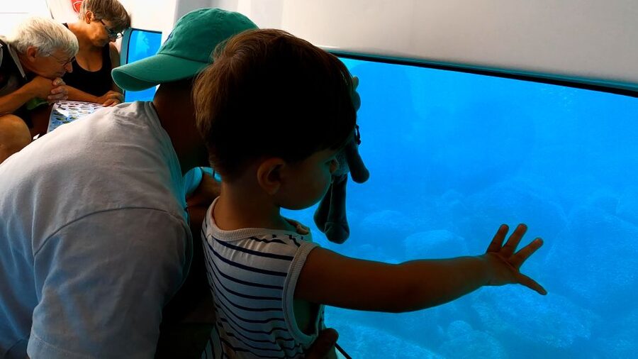 Porto : Discovery of the marine fauna and flora/Bay of Porto - Natural Reserve of Castagna or Calanque of Porto: your viewing priorities