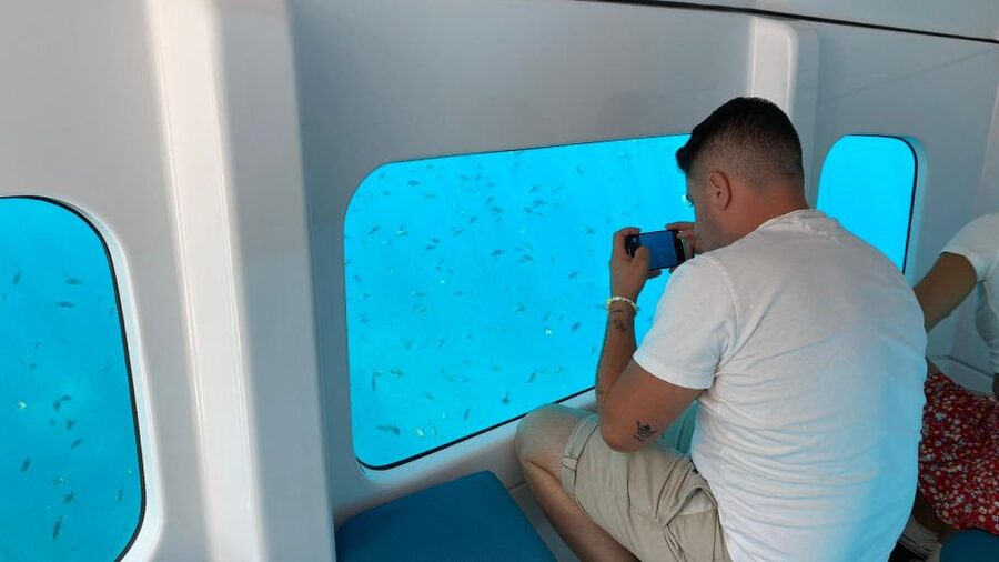 Porto : Discovery of the marine fauna and flora/Bay of Porto - Price and value: is $29 worth 45 minutes?