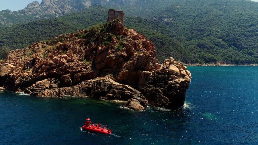 Porto : Discovery of the marine fauna and flora/Bay of Porto - Should you book Porto marine fauna and flora by semi-submarine?