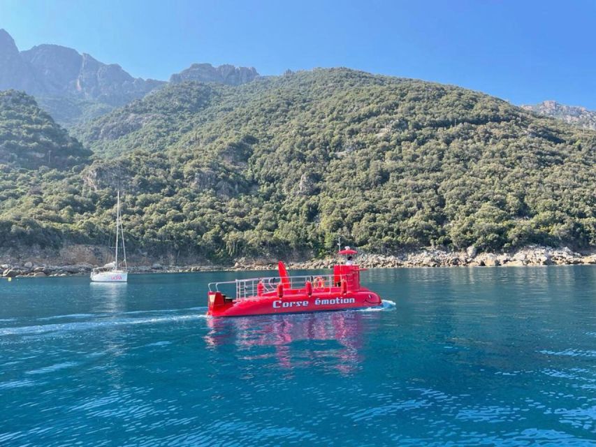 Porto : Discovery of the marine fauna and flora/Bay of Porto - The 45-minute circuit: what happens after you step aboard