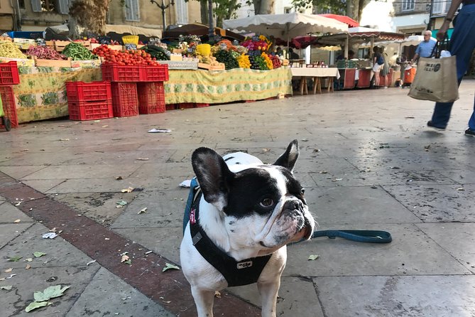 Provençal Farmers market tour - Price and value: $42.05 for guidance plus lunch-style tasting