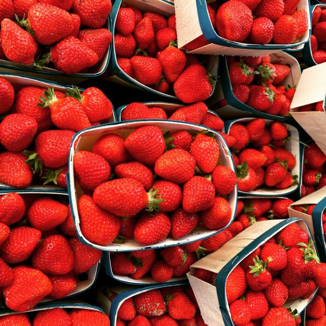 Provencal Market Walking Tour with Tastings - Price and value: why $41 makes sense for a short food tour