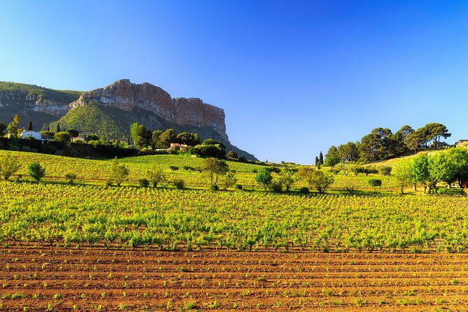 Provence small group half-day wine tour from Aix - How the guide shapes the whole experience