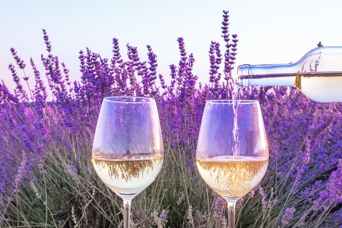 Provence small group half-day wine tour from Aix - The meeting point and how to start smoothly