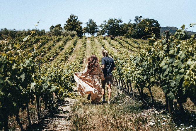 Provence Wine Tour - Small Group Tour from Cannes - Stop 1 in the morning: a Cru Classé estate and cellar access you can feel