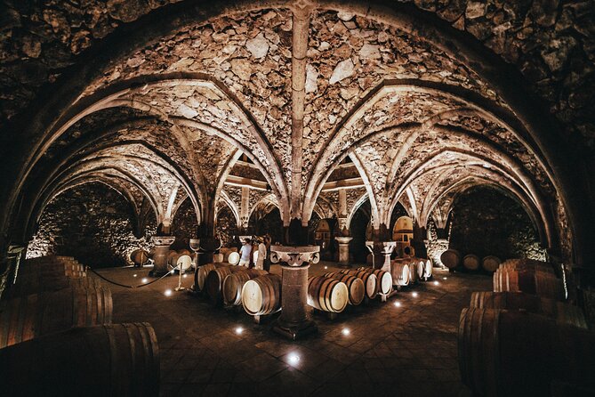 Provence Wine Tour - Small Group Tour from Nice - What I’d pack and plan for a smooth 8-hour day