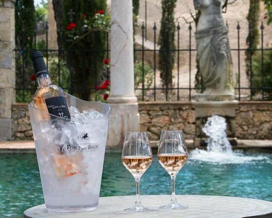 Provence Wine Tour - Small Group Tour from Nice - Price and value for a full day of tastings