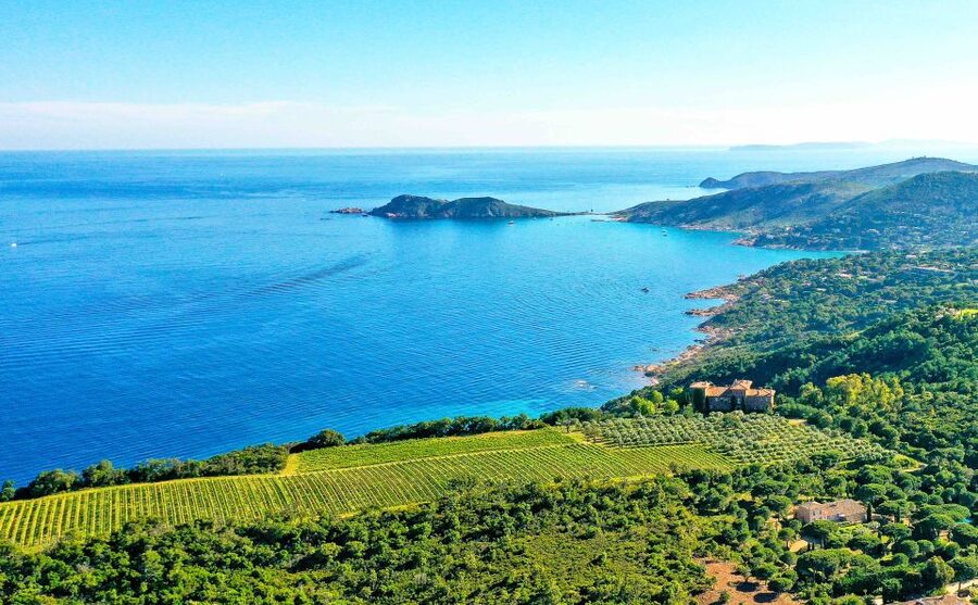 Ramatuelle: Tracks & Tasting Winery Tour by Mountain E-Bike - Key Things I’d Bet On