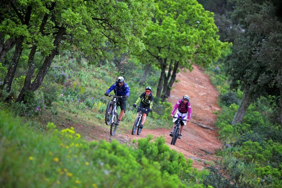 Ramatuelle: Tracks & Tasting Winery Tour by Mountain E-Bike - Saint-Tropez Sightseeing Time You Actually Use