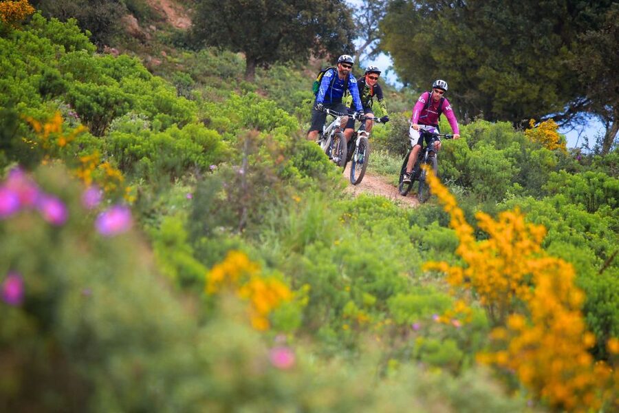 Ramatuelle: Tracks & Tasting Winery Tour by Mountain E-Bike - How the Guide Improves the Day