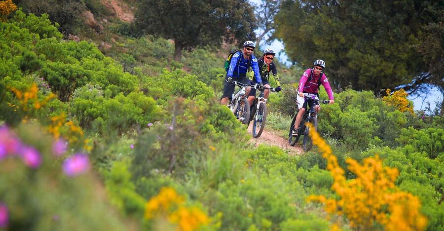 Ramatuelle: Tracks & Tasting Winery Tour by Mountain E-Bike - Route des Plages Coastal Start and Forest Paths