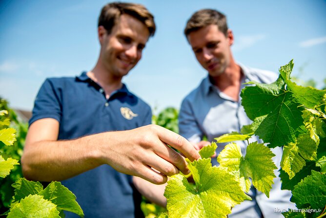 Reims afternoon tour Champagne and family growers - A 2 pm Champagne Afternoon That Starts at the Reims Train Area