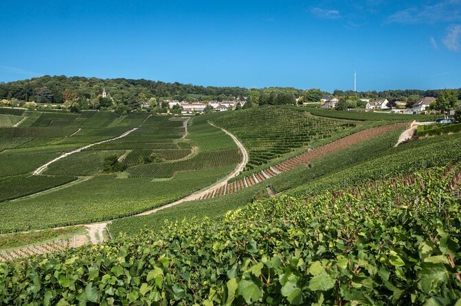 Reims afternoon tour Champagne and family growers - Stop 3: Hautvillers Village Drive, Plus How to Read What You See