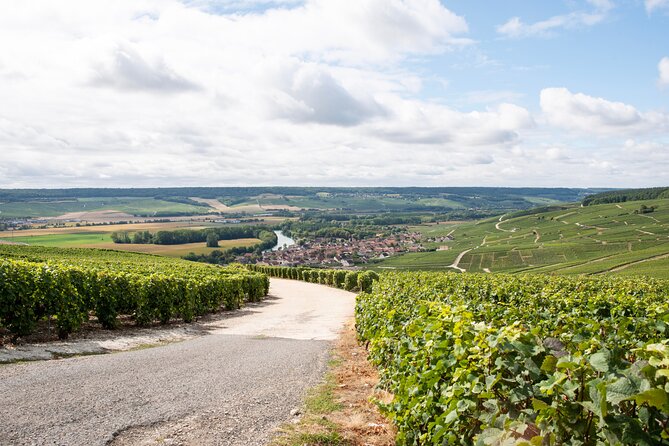 Reims afternoon tour Champagne and family growers - Guide Style Makes or Breaks It, and This Tour Scores High