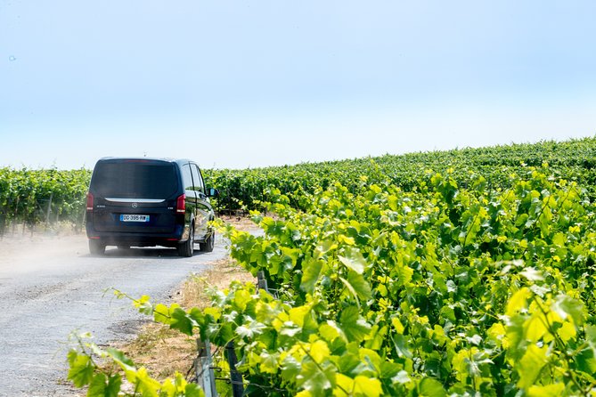 Reims afternoon tour Champagne and family growers - Price and Value: What $151.16 Buys You in the Real World