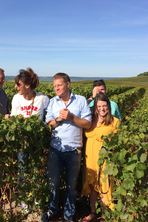 Reims/Epernay: Champagne Day Tour with Tastings - Marne and a second tasting: comparing style across the region