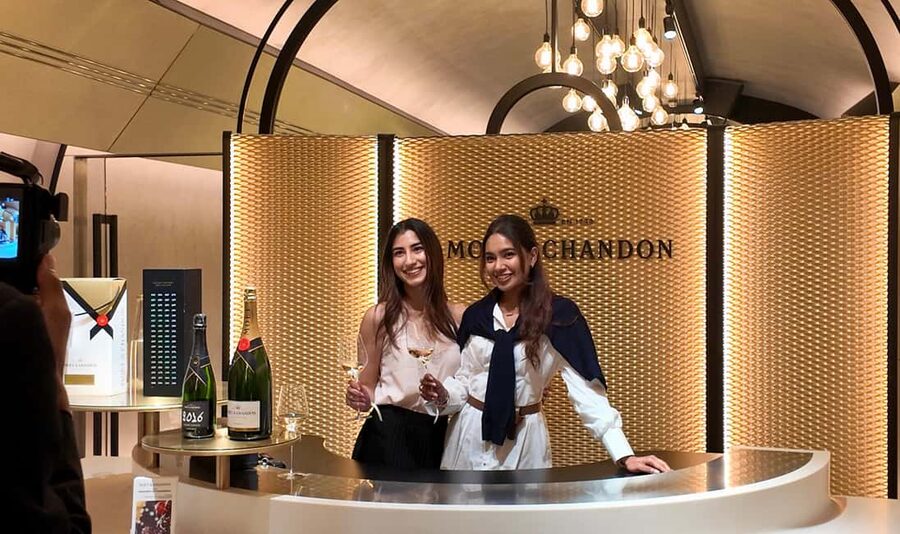 Reims: Moët & Chandon and Family-Run Winery Day Tour & Lunch - Key highlights at a glance