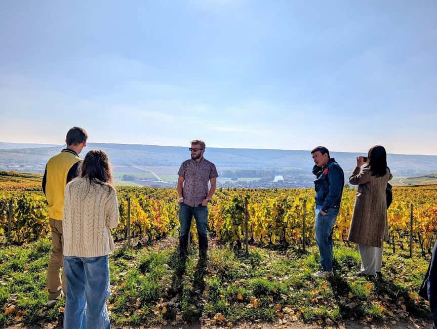 Reims: Moët & Chandon and Family-Run Winery Day Tour & Lunch - The Avenue de Champagne drive is more than a photo moment