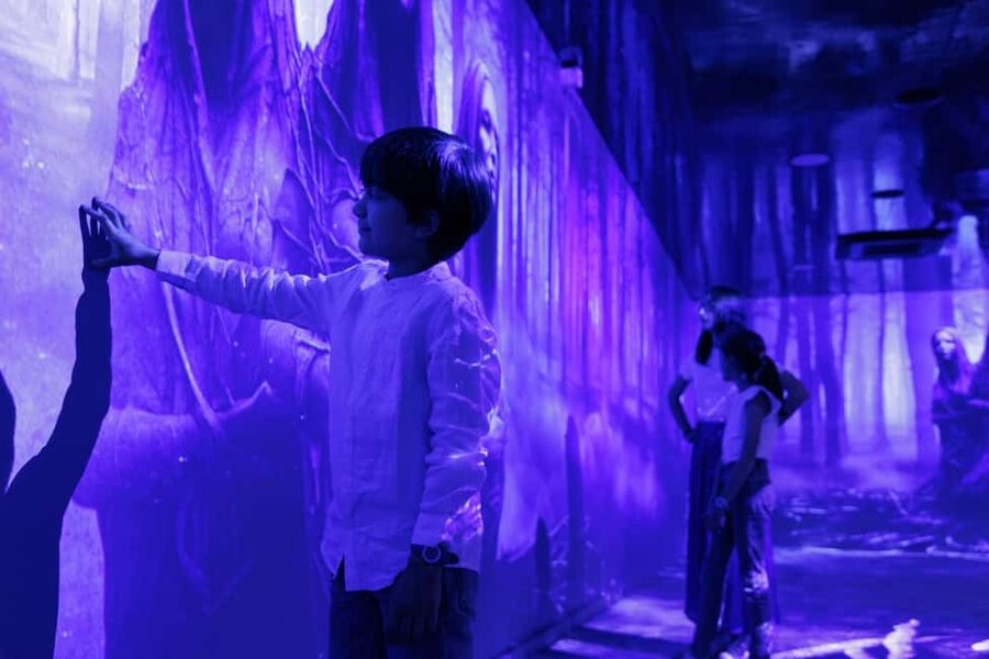 Rouen : Museum Immersive Viking Experience - The 360° Videomapping and 3D Musical Devices, Plainly Explained