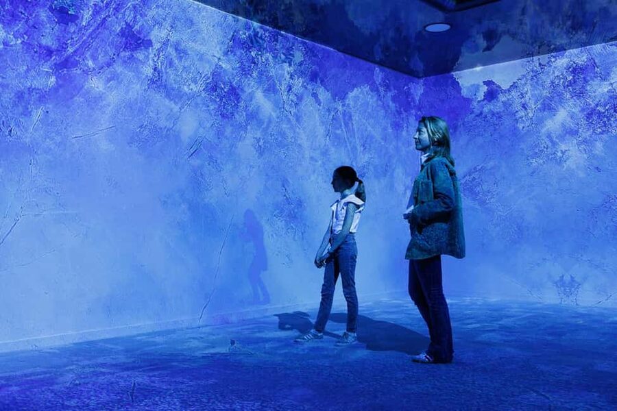 Rouen : Museum Immersive Viking Experience - Price in Context: Is $18 Good Value in Rouen?