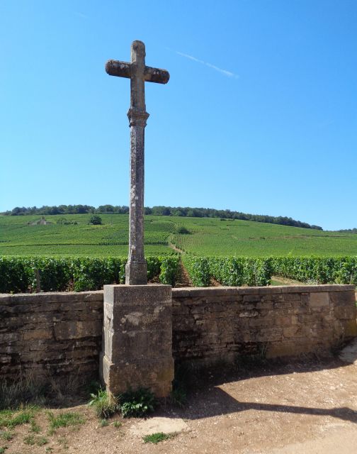 "Route des grands crus", private wine tasting in Burgundy ! - Key Points You’ll Care About