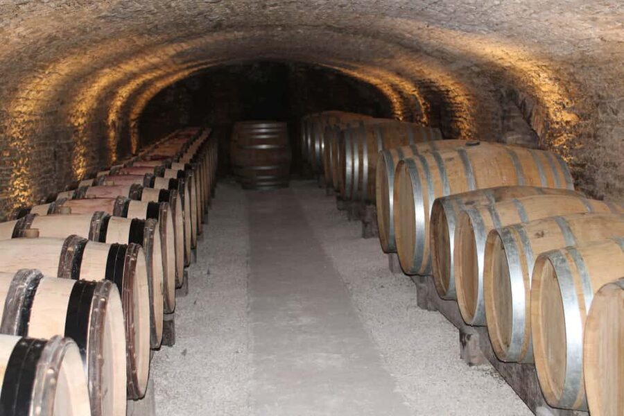 "Route des grands crus", private wine tasting in Burgundy ! - Price and Value: What $496 Buys You in One Day