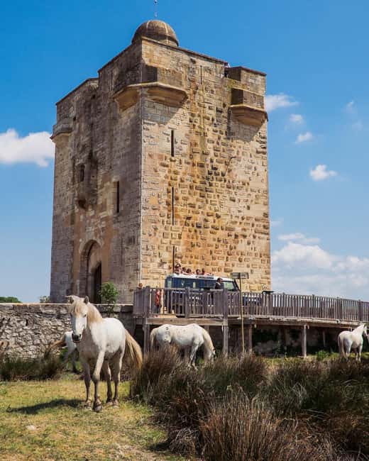 Safari 4x4 in Camargue / VIP Tour 3h30 / Grau du Roi - Key things you will remember most