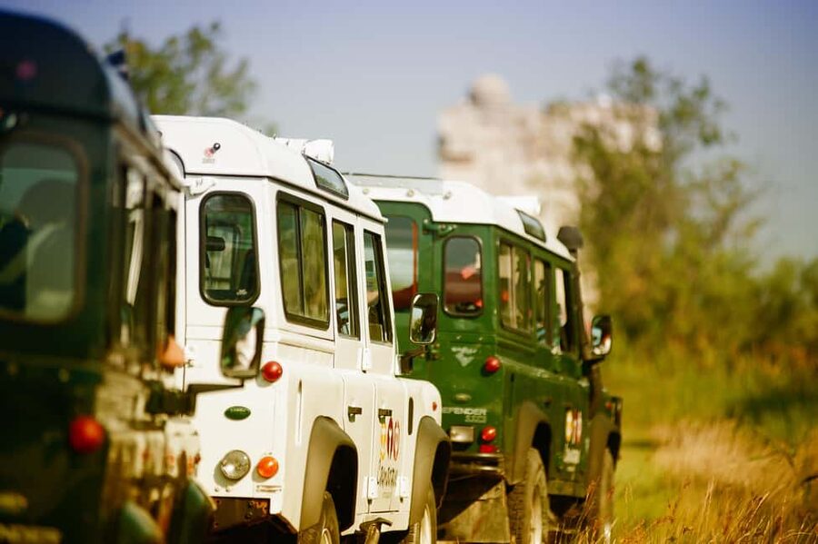 Safari 4x4 in Camargue / VIP Tour 3h30 / Grau du Roi - A private Camargue safari that mixes wildlife, work, and food