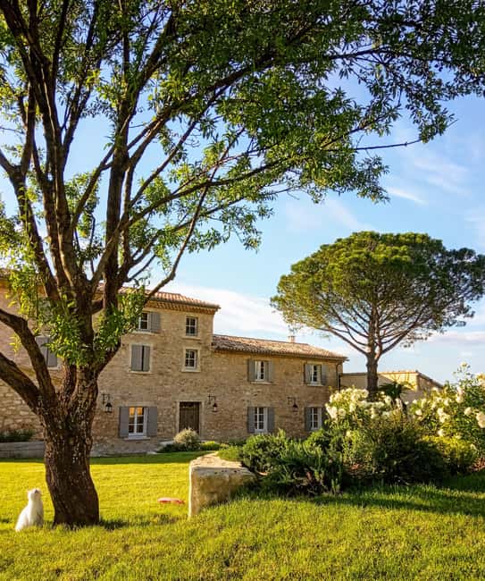 Saint-Didier: visit a vineyard & taste organic wines - Meeting winemakers Stéphane or Paul, and asking real questions
