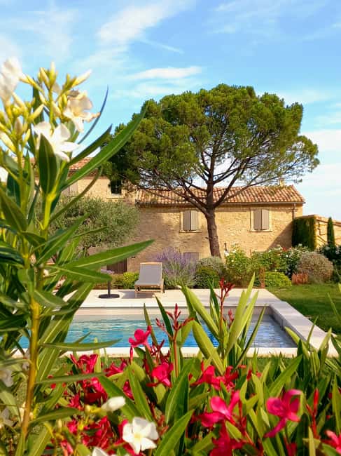 Saint-Didier: visit a vineyard & taste organic wines - Three organic cuvées in flower-filled gardens: what to notice in each glass