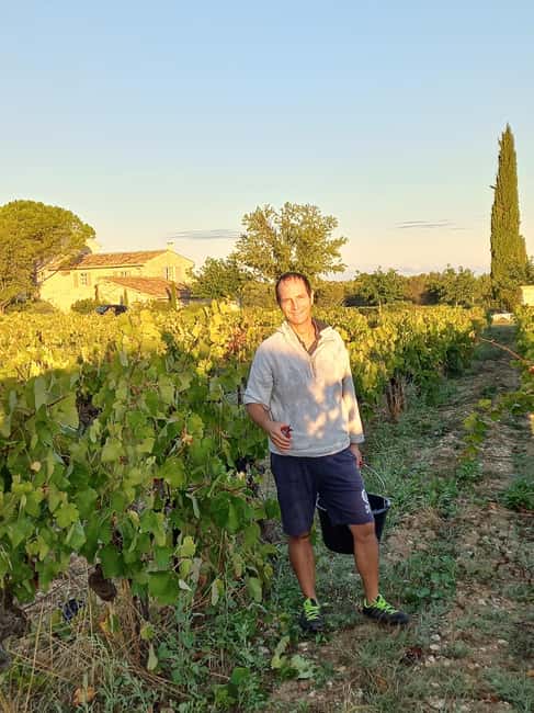 Saint-Didier: visit a vineyard & taste organic wines - How the aromas and pairings turn a tasting into a real skill