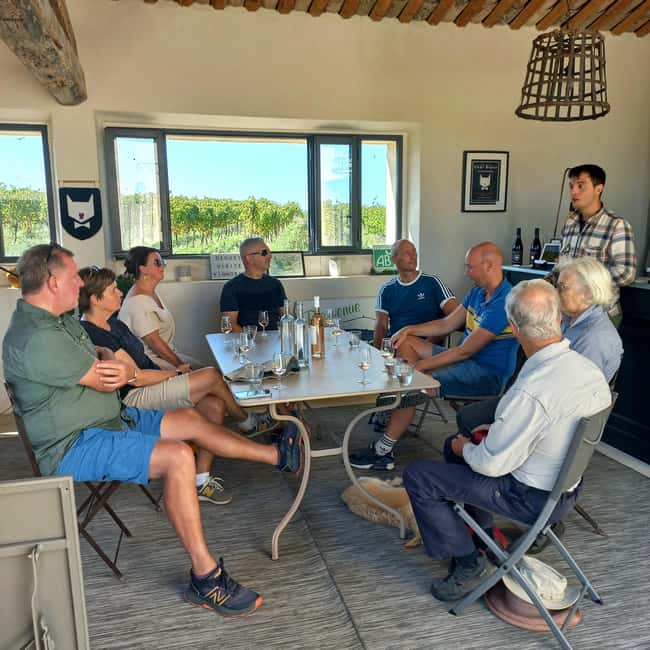 Saint-Didier: visit a vineyard & taste organic wines - Price and value: why $23 for 90 minutes makes sense here