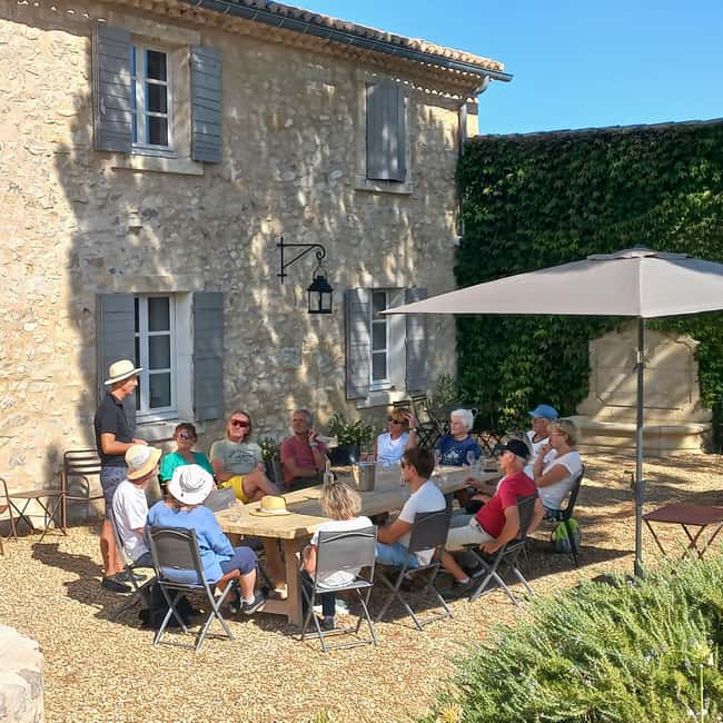 Saint-Didier: visit a vineyard & taste organic wines - The 90 minutes you actually feel: photo stop, vineyard walk, tasting