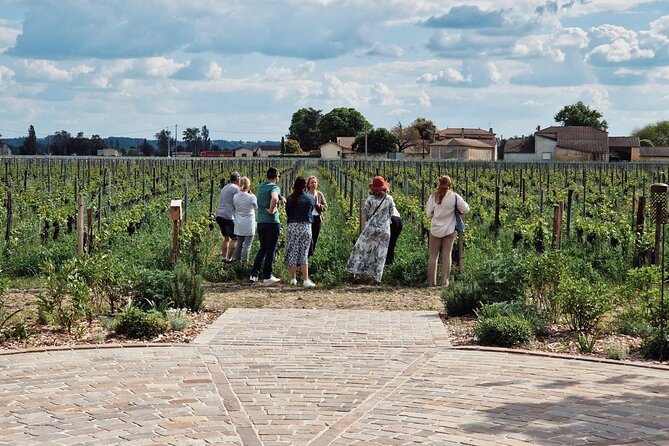 Saint-Emilion Afternoon Wine Tour - 2 Wineries & delicacies - Why Saint-Émilion works so well for an afternoon