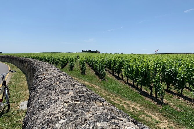 Saint-Emilion Afternoon Wine Tour - 2 Wineries & delicacies - First winery stop: Grand Cru or Grand Cru Classé in action