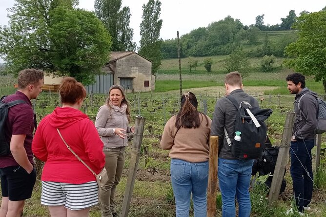 Saint-Emilion Afternoon Wine Tour - 2 Wineries & delicacies - What you’ll taste, and how to get more from the tastings