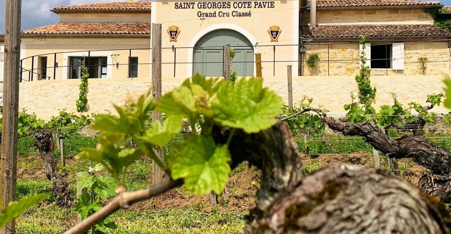 Saint-Émilion: Bordeaux Vineyard Tour and Wine Tasting - Tasting Bordeaux Like a Pro, in Three Simple Steps