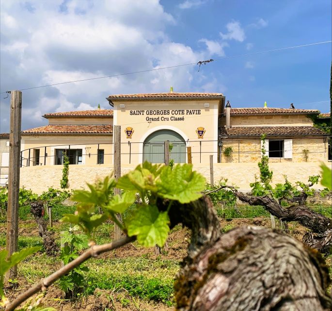 Saint-Émilion: Bordeaux Vineyard Tour and Wine Tasting - Should You Book This Saint-Émilion Bordeaux Vineyard Tour?