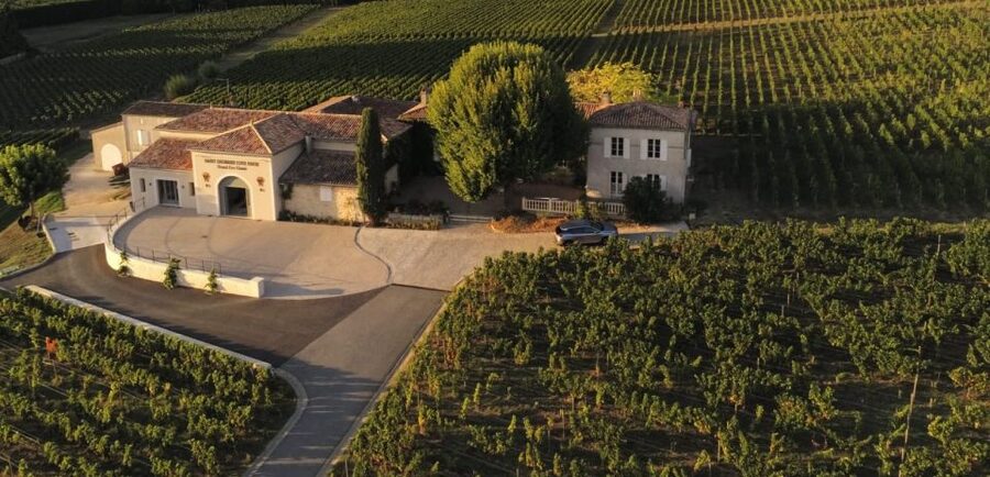 Saint-Émilion: Bordeaux Vineyard Tour and Wine Tasting - FAQ