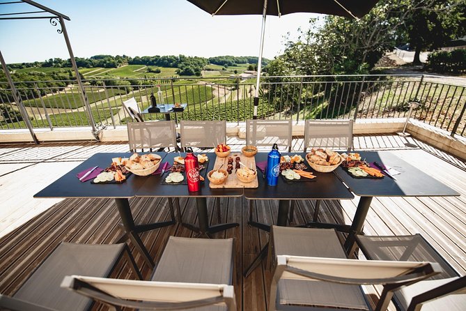 Saint-Emilion Electric Bike Day Tour with Wine Tastings & Lunch - Les Domaines de Moncets: second winery stop with another tasting