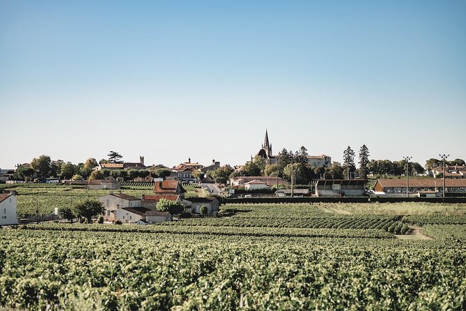 Saint-Emilion Electric Bike Day Tour with Wine Tastings & Lunch - Saint-Emilion village at 4:00 pm: walking time plus a wine shop tasting