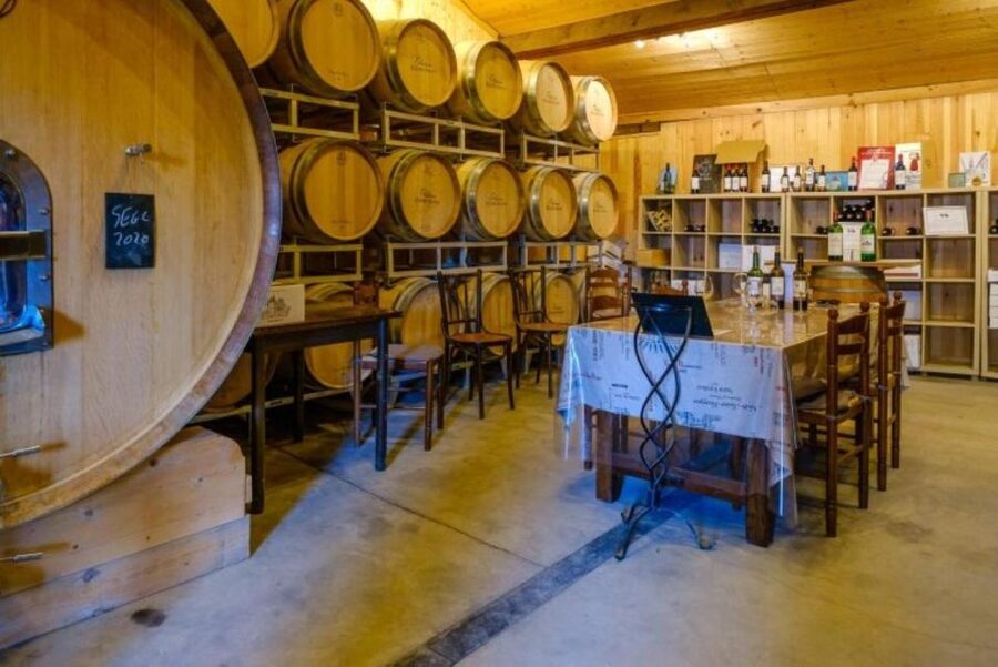 Saint-Émilion: Family Vineyard Visit with Wine Tasting - Buying and shipping: taking the best bottles beyond Saint-Émilion
