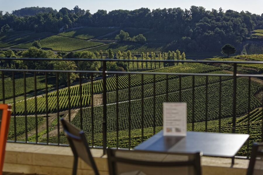 Saint-Emilion: Grand Cru Classé Cheese & Charcuterie Visit - The tasting: 3 wines explained through real pairing logic