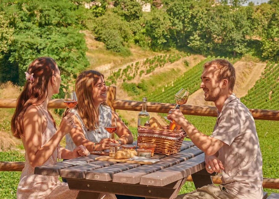 Saint-Emilion: Grand Cru Classé Guided Winery Visit & Picnic - Key Points Before You Go