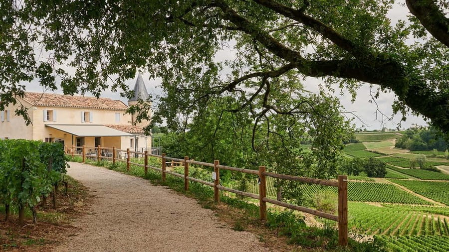 Saint-Emilion: Grand Cru Classé Guided Winery Visit & Picnic - Château Tour Baladoz, the Traditional Limestone Start