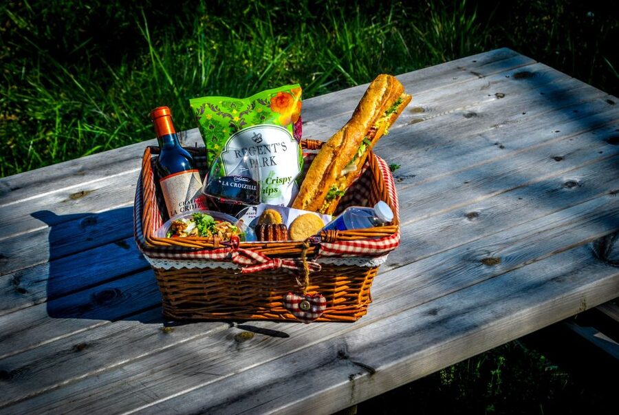 Saint-Emilion: Grand Cru Classé Guided Winery Visit & Picnic - Price and Value for a Two-Hour Vineyard Stop