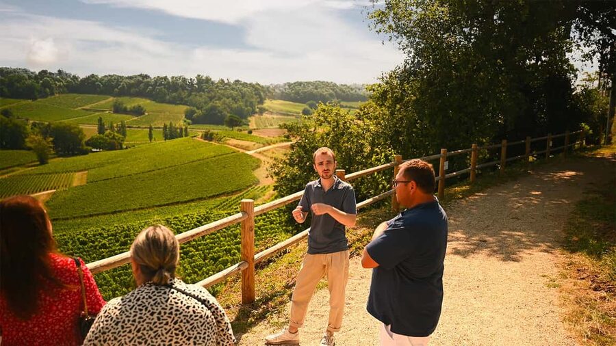 Saint-Émilion: Grand Cru Classé Winery Visit and Tasting - A 1-hour schedule that actually fits a day in Saint-Émilion