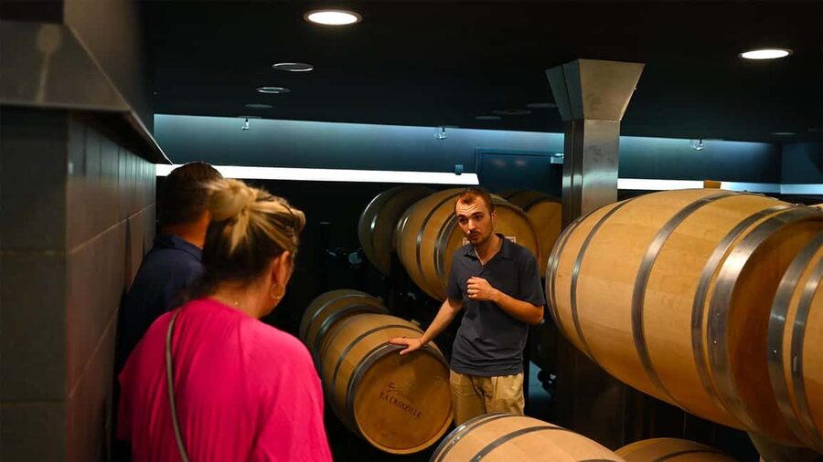 Saint-Émilion: Grand Cru Classé Winery Visit and Tasting - Small group size and named guides: why the experience feels personal