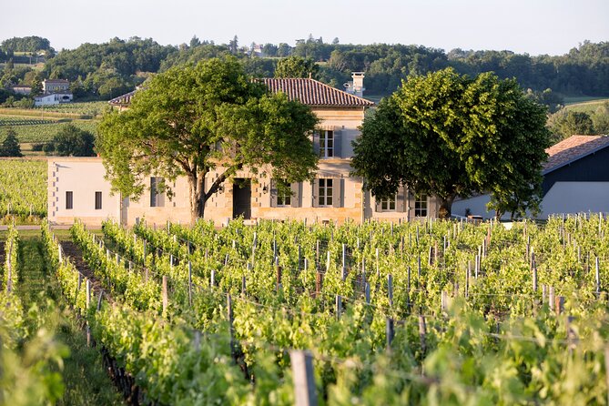 Saint Emilion Half-Day Trip with Wine Tasting & Winery Visit from Bordeaux - What the Minivan Time Really Means for Your Day