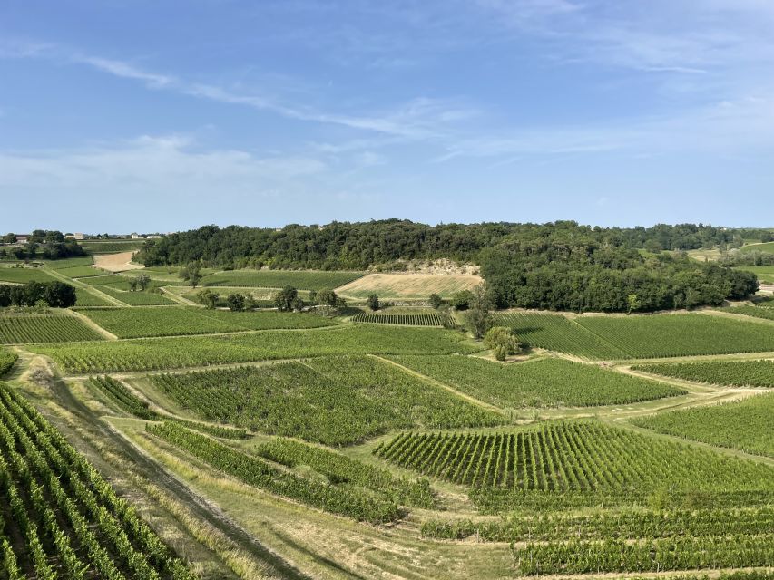 Saint-Emilion : half-day wine-tour into classified estates - What You’ll Pay For: Value Versus Extra Costs